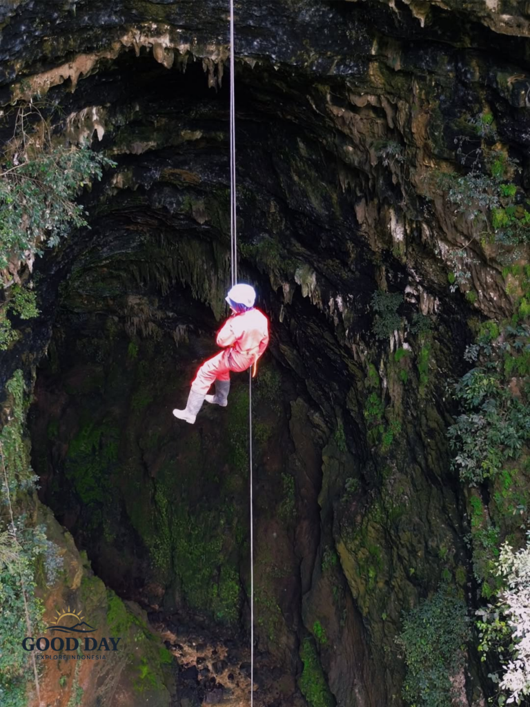Adventure caver descending by rope into Goa Ngeleng (Ngeleng Cave), Yogyakarta, Indonesia. A participant wearing safety gear and a red jumpsuit rappels deep into a massive vertical cave chamber surrounded by limestone walls, stalactites, and lush green moss, showcasing the thrill of vertical caving in Jogja.