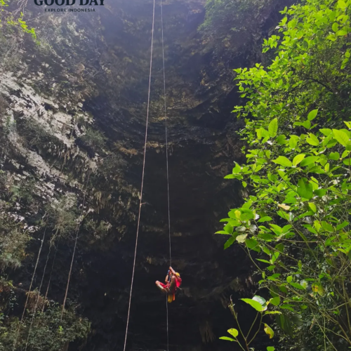 An adventurer rappels into the massive vertical shaft of Goa Ngeleng in Gunungkidul, Yogyakarta, Indonesia. Surrounded by towering limestone walls, lush green vegetation, and dramatic natural light from above, the cave offers one of the most exciting vertical caving experiences in Java.