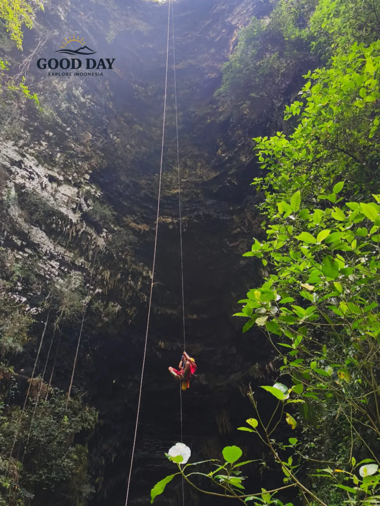 An adventurer rappels into the massive vertical shaft of Goa Ngeleng in Gunungkidul, Yogyakarta, Indonesia. Surrounded by towering limestone walls, lush green vegetation, and dramatic natural light from above, the cave offers one of the most exciting vertical caving experiences in Java.