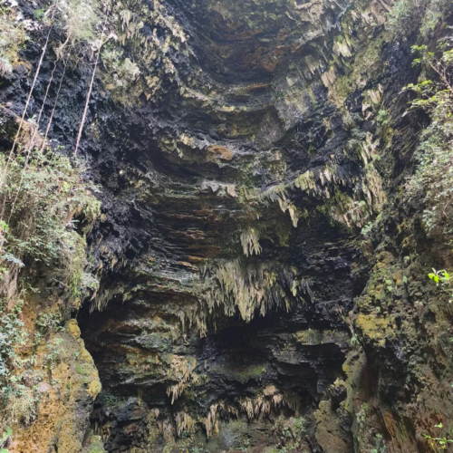The massive limestone chamber of Goa Ngeleng in Gunungkidul, Yogyakarta, featuring towering cave walls, dramatic stalactite formations, moss-covered rock surfaces, and a natural sinkhole opening that illuminates the cave's stunning underground landscape.