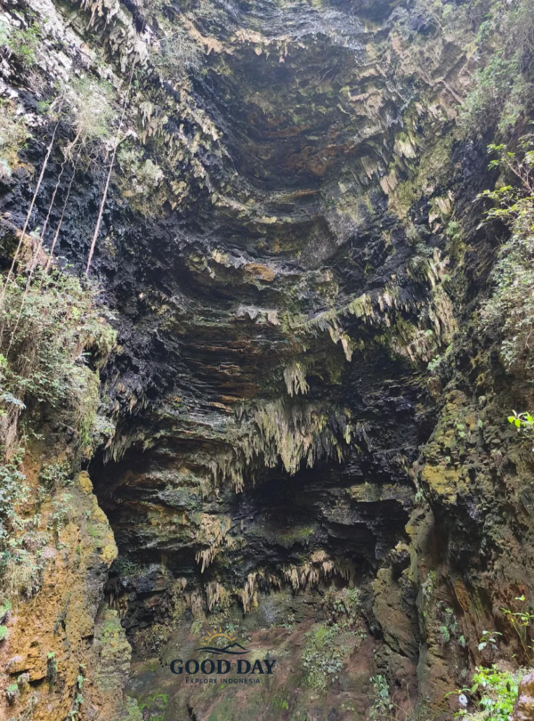 The massive limestone chamber of Goa Ngeleng in Gunungkidul, Yogyakarta, featuring towering cave walls, dramatic stalactite formations, moss-covered rock surfaces, and a natural sinkhole opening that illuminates the cave's stunning underground landscape.