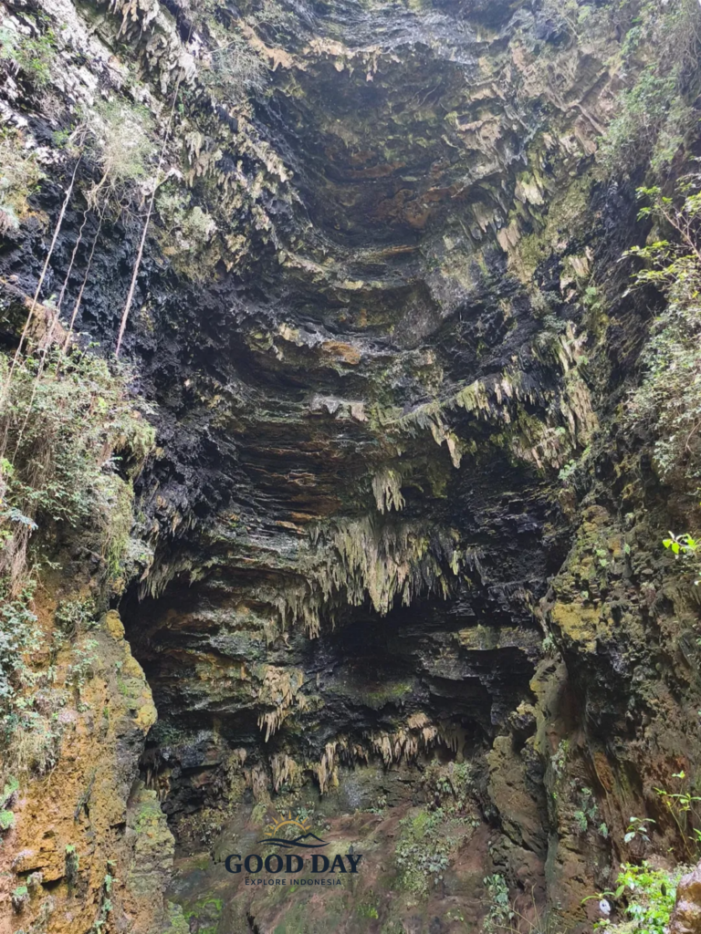 The massive limestone chamber of Goa Ngeleng in Gunungkidul, Yogyakarta, featuring towering cave walls, dramatic stalactite formations, moss-covered rock surfaces, and a natural sinkhole opening that illuminates the cave's stunning underground landscape.