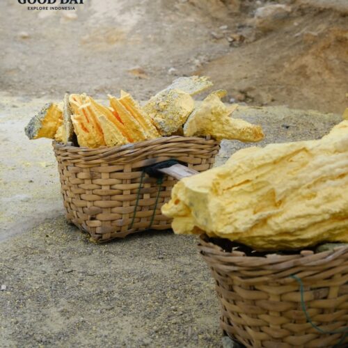 Sulfur miners carrying bright yellow sulfur rocks in traditional baskets at Kawah Ijen, Banyuwangi, East Java, Indonesia. Volcanic sulfur deposits surrounded by rugged crater landscapes highlight the unique sulfur mining activity of Mount Ijen.