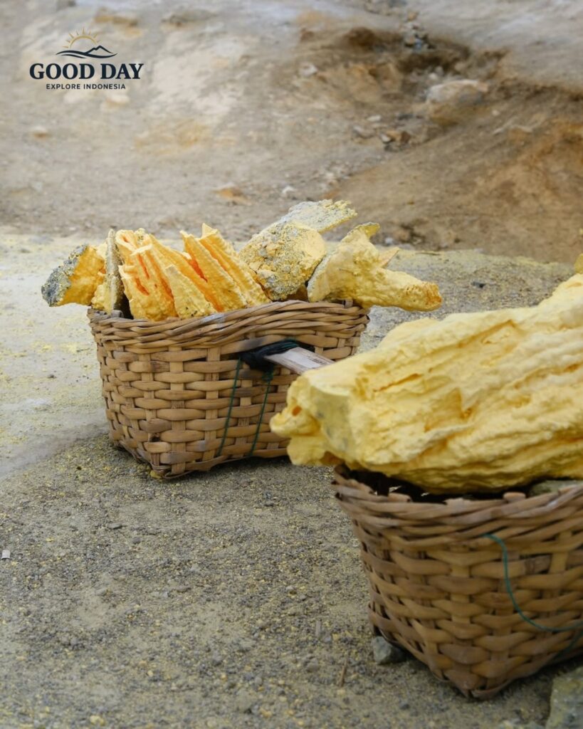 Sulfur miners carrying bright yellow sulfur rocks in traditional baskets at Kawah Ijen, Banyuwangi, East Java, Indonesia. Volcanic sulfur deposits surrounded by rugged crater landscapes highlight the unique sulfur mining activity of Mount Ijen.