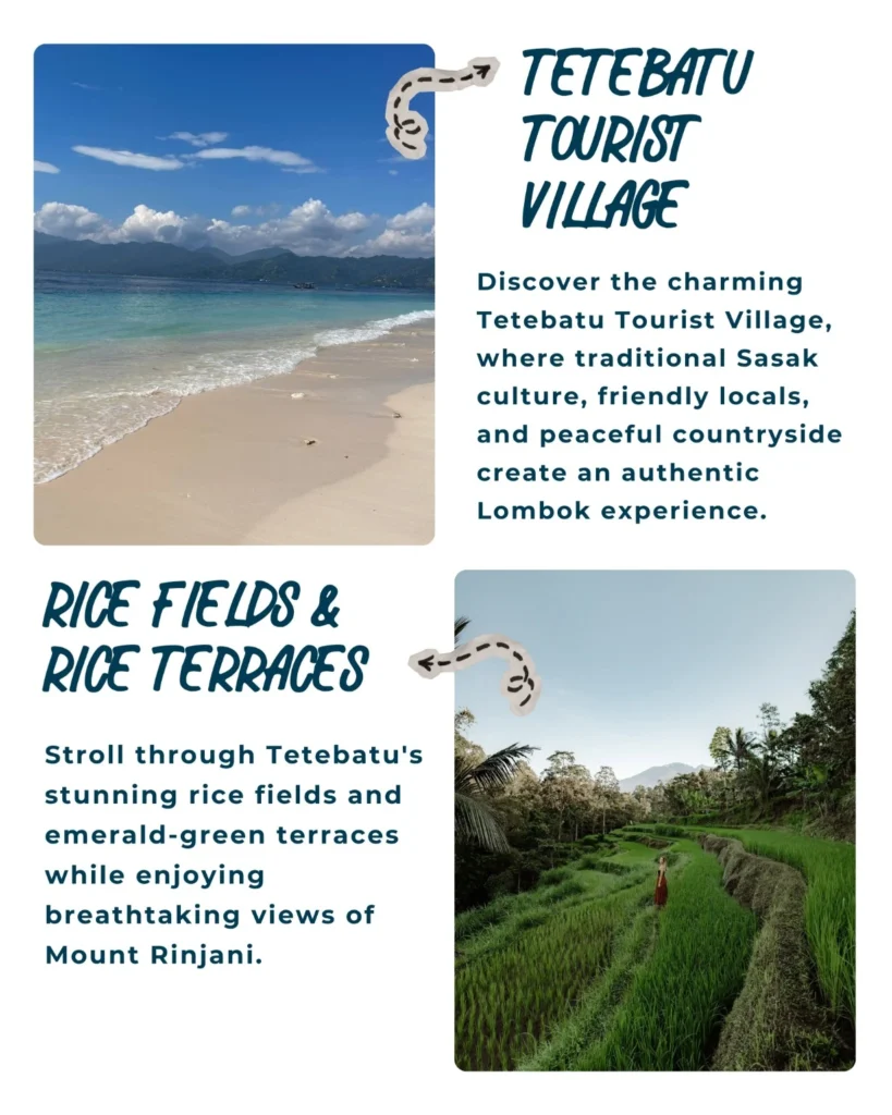 Tetebatu Tour Lombok featuring rice terraces, Tetebatu Waterfall, Burung Walet Waterfall, Monkey Forest, local coffee experience, Sasak village, and Mount Rinjani viewpoint on a private walking tour.