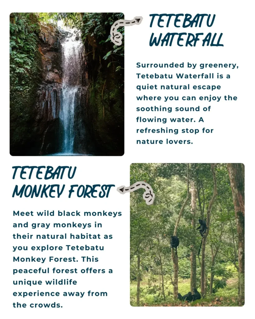 Tetebatu Tour Lombok featuring rice terraces, Tetebatu Waterfall, Burung Walet Waterfall, Monkey Forest, local coffee experience, Sasak village, and Mount Rinjani viewpoint on a private walking tour.