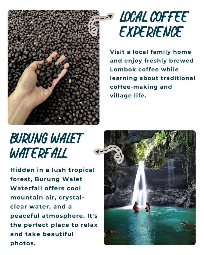 Tetebatu Tour Lombok featuring rice terraces, Tetebatu Waterfall, Burung Walet Waterfall, Monkey Forest, local coffee experience, Sasak village, and Mount Rinjani viewpoint on a private walking tour.