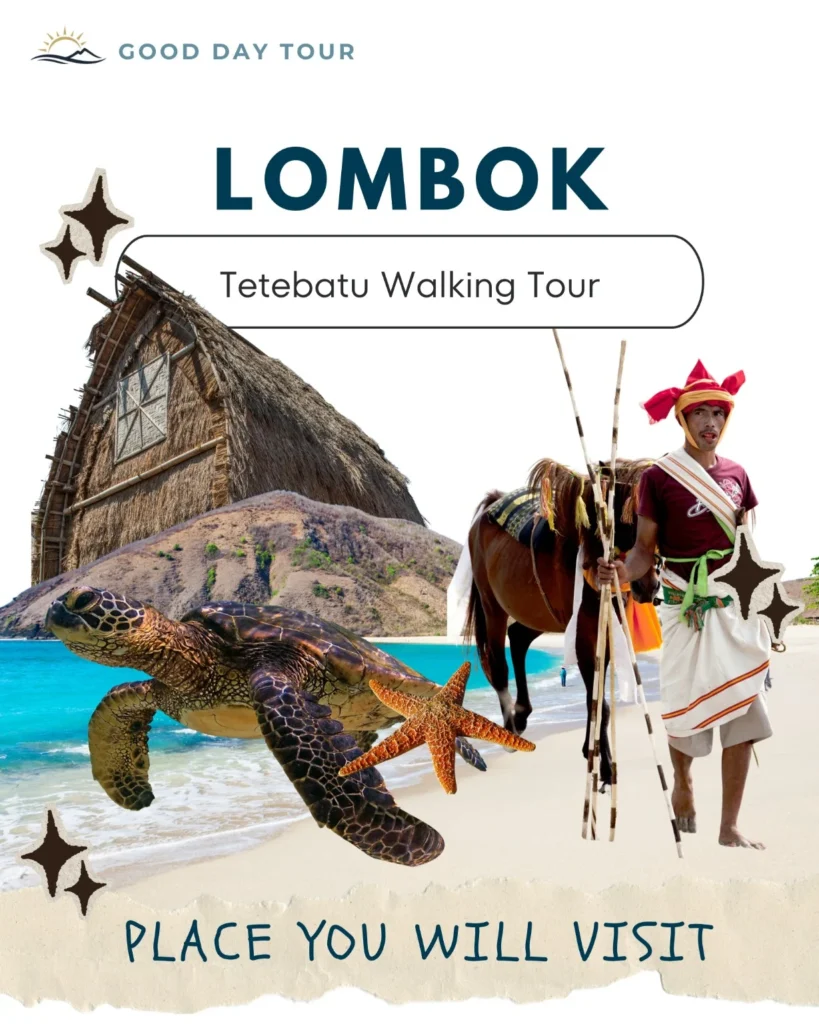 Tetebatu Tour Lombok featuring rice terraces, Tetebatu Waterfall, Burung Walet Waterfall, Monkey Forest, local coffee experience, Sasak village, and Mount Rinjani viewpoint on a private walking tour.