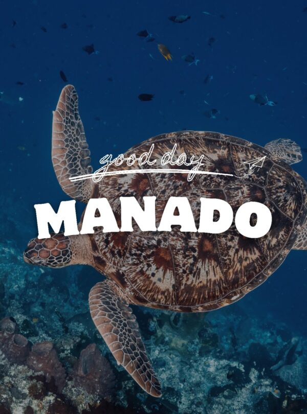 GOOD_DAY_INDONESIA_.MANADO_BUNAKEN_TURTLE