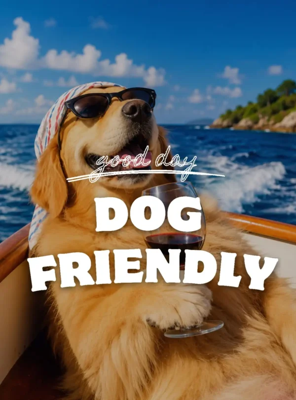 Golden Retriever relaxing on a boat during a dog-friendly island adventure in Indonesia, showcasing pet-friendly travel and outdoor experiences.