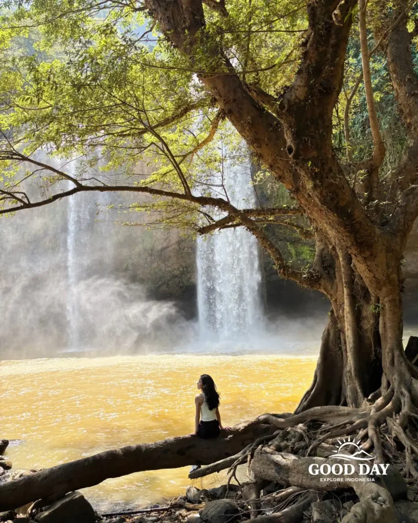 Travelers exploring Geopark Ciletuh in West Java on a one-day trip from Jakarta with Good Day Tour, featuring spectacular waterfalls, rainforest, cliffs, and UNESCO Global Geopark landscapes.
