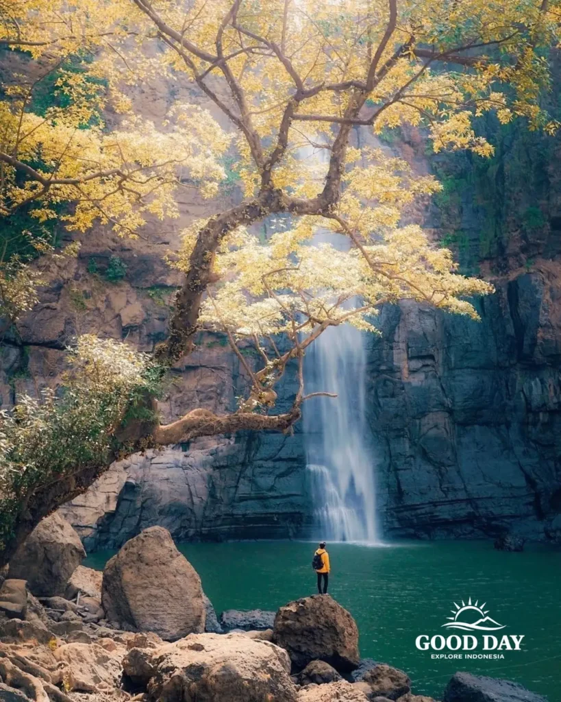 Travelers exploring Geopark Ciletuh in West Java on a one-day trip from Jakarta with Good Day Tour, featuring spectacular waterfalls, rainforest, cliffs, and UNESCO Global Geopark landscapes.