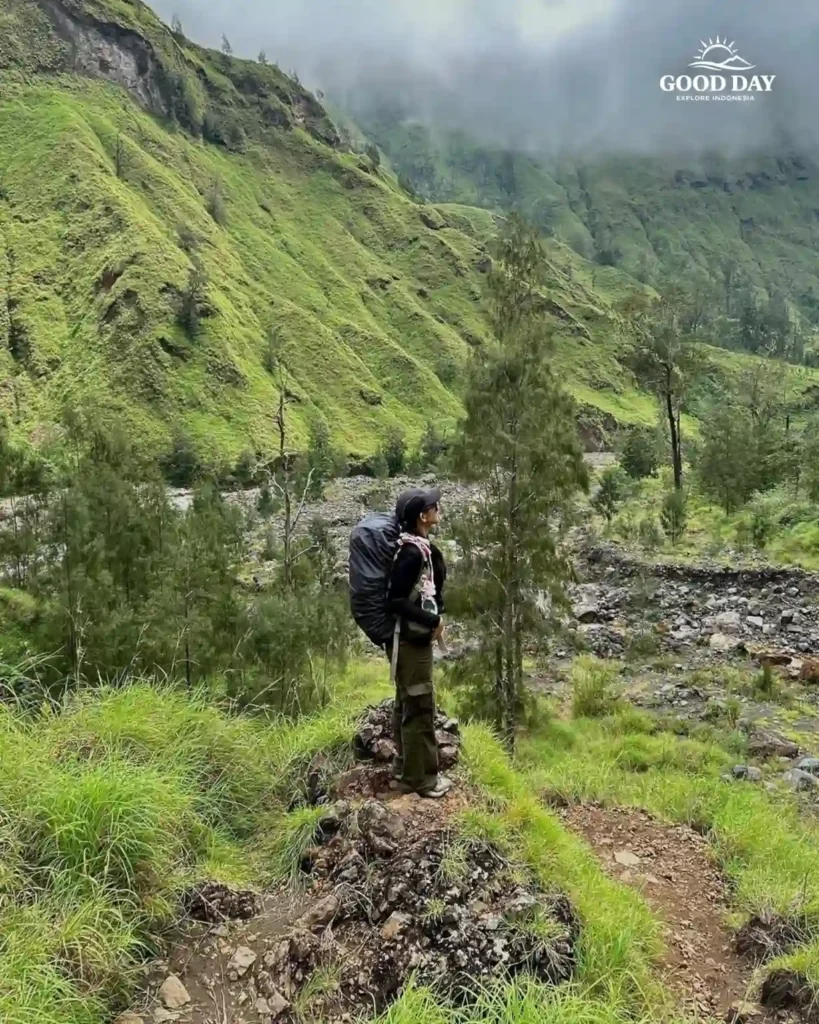 Mount Rinjani and scenic mountain landscape in Lombok, Indonesia