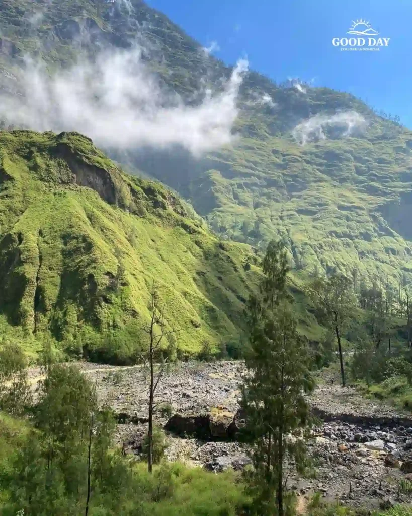 Mount Rinjani and scenic mountain landscape in Lombok, Indonesia