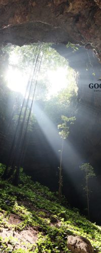 Sunbeams shining through the massive skylight of Goa Macan Mati in Yogyakarta, Indonesia. Lush vegetation, hanging roots, and towering limestone walls create a breathtaking underground landscape inside one of Gunungkidul's most spectacular cave destinations.